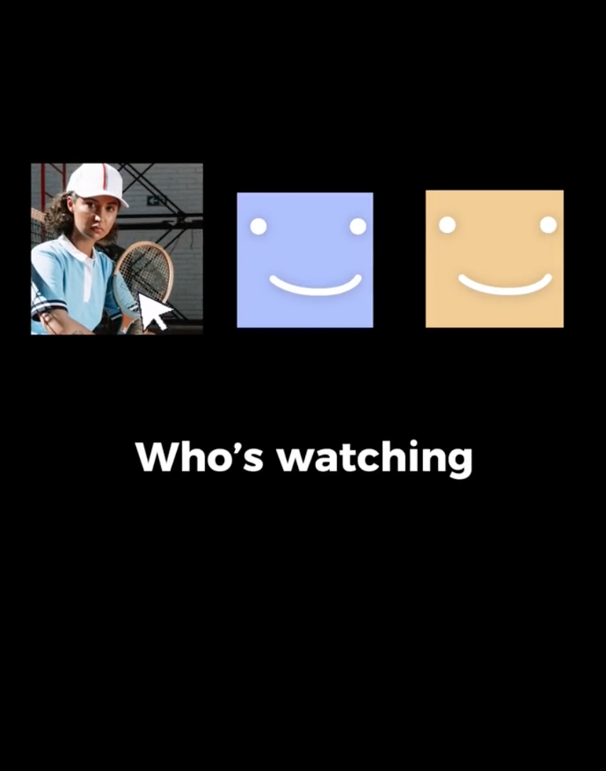 仿Netflix营销模板